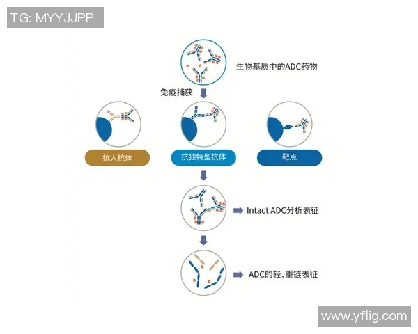 奥运会游泳接力赛中的策略运用与团队协作分析探讨 奥运会游泳接力赛中的策略运用与团队协作分析探讨